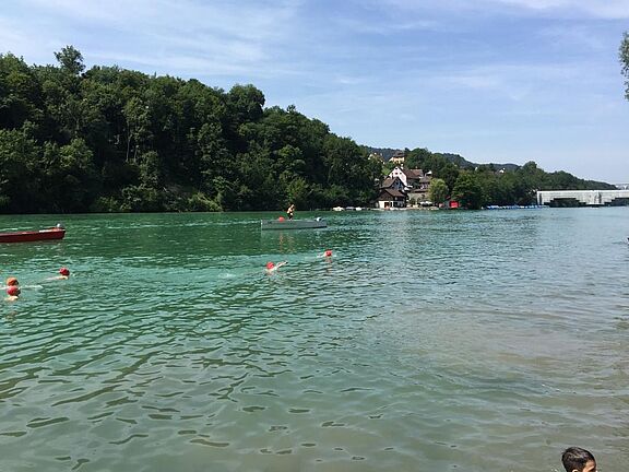 rheinschwimmen.jpg
